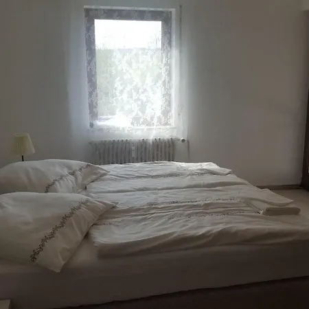 1 * Metzingen (Tubingen)